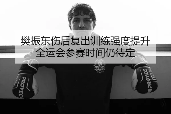 樊振东伤后复出训练强度提升 全运会参赛时间仍待定（leyu）